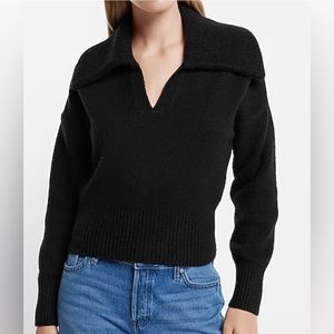 Express Collared V-Neck Long Sleeved Sweater